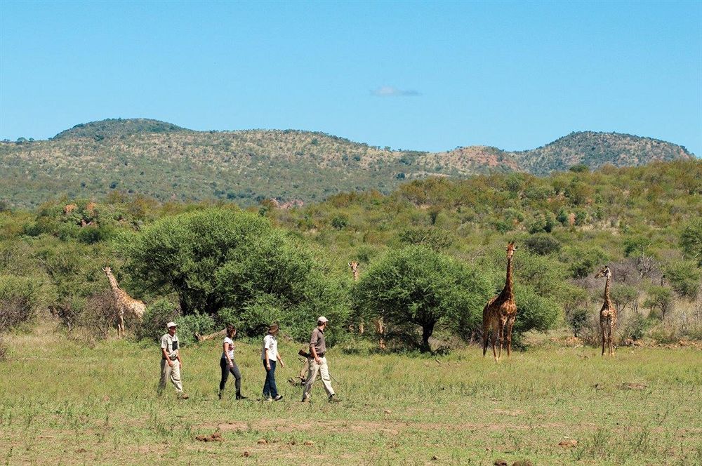 Madikwe Safari Lodge Melorane ภายนอก รูปภาพ