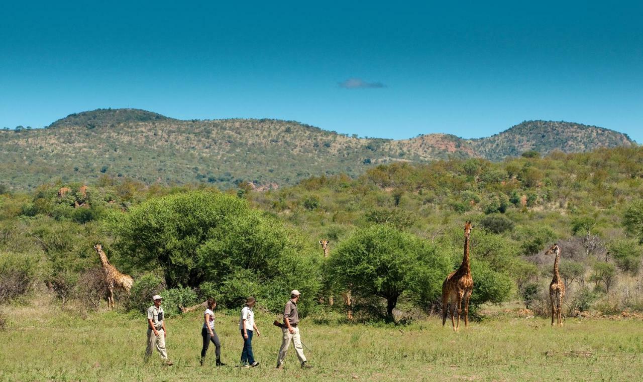 Madikwe Safari Lodge Melorane ภายนอก รูปภาพ