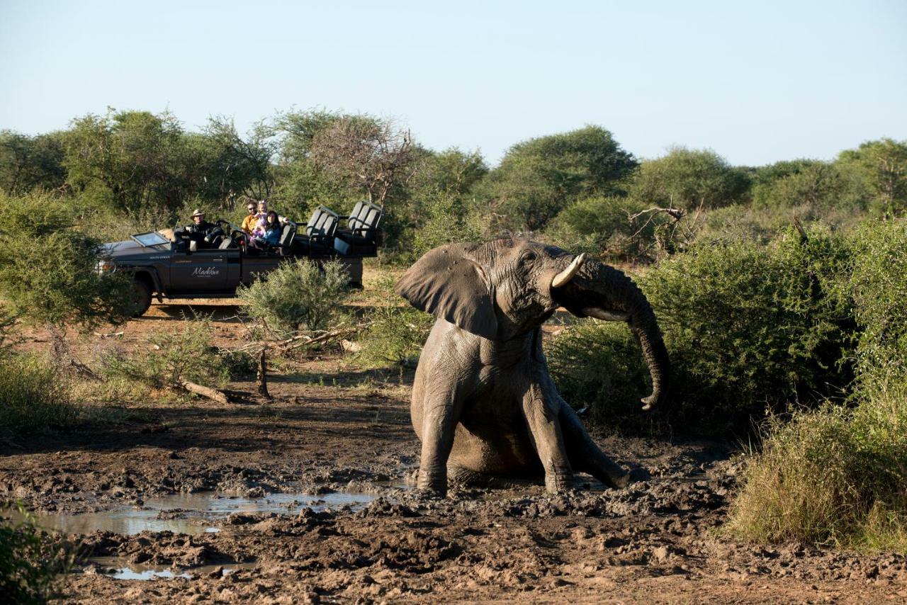 Madikwe Safari Lodge Melorane ภายนอก รูปภาพ